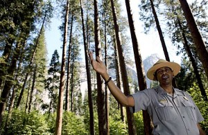Photo Credit: SanFran Chronicle